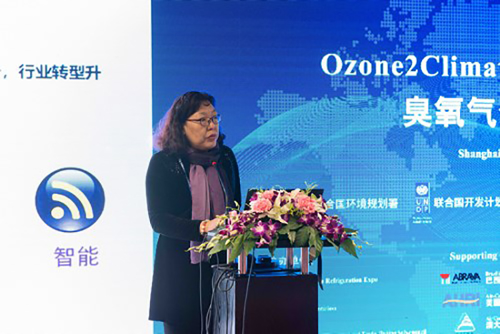 22c7fda817e242f89ad077044377d11c