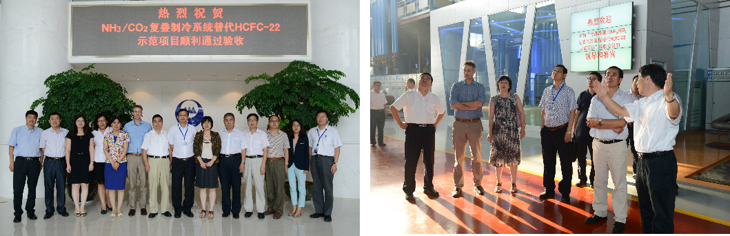 263a07620e14466cab3587175741e763