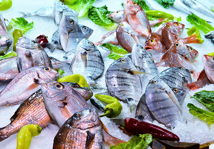 食品冷冻冷藏及深加工系统解决规划