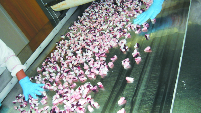 尺度（高效）隧路式快冻装置（板带）